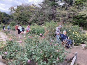 同行援護／神代植物公園のバラ
